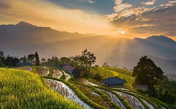 duftyoga.de - Entspannung Audio Download 2